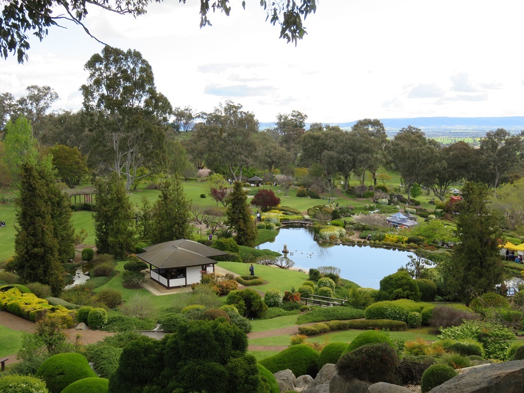 Cowra Sakura Matsuri 2015 1